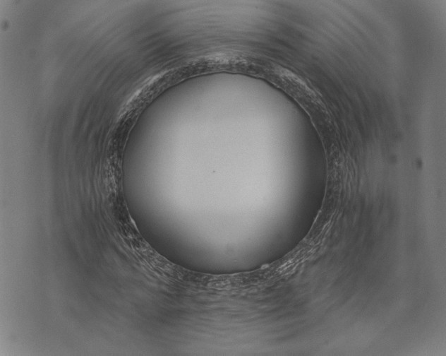 X0000073720776200608241231