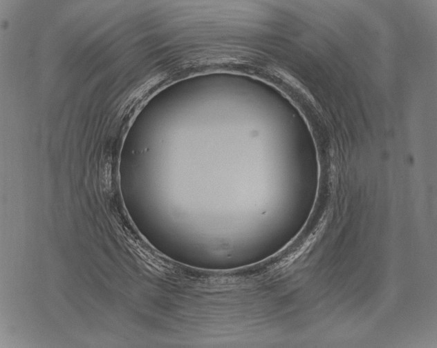 X0000073720777200608241231