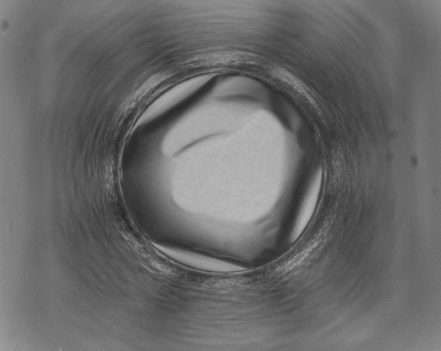 X0000073720778200608241231