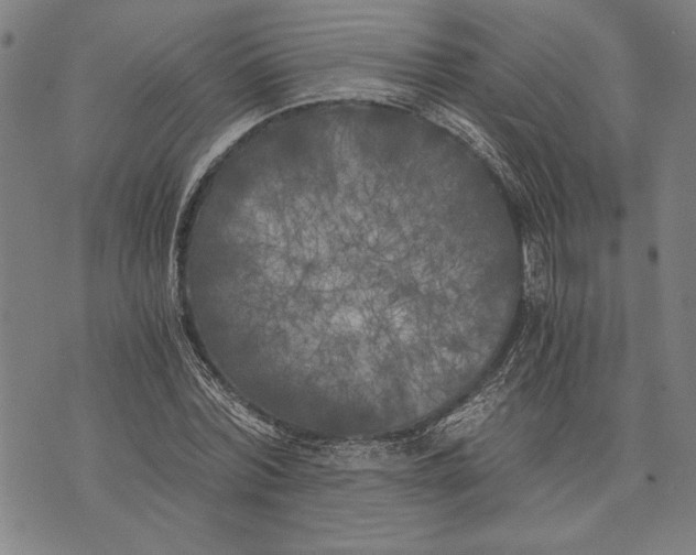 X0000073720780200608241231