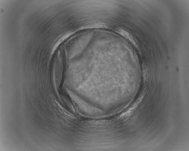 X0000073720781200608241231