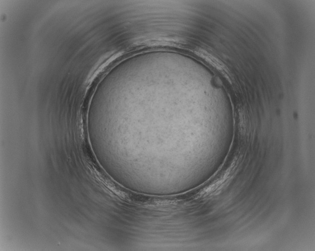 X0000073720782200608241231