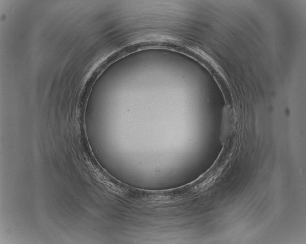 X0000073720783200608241231