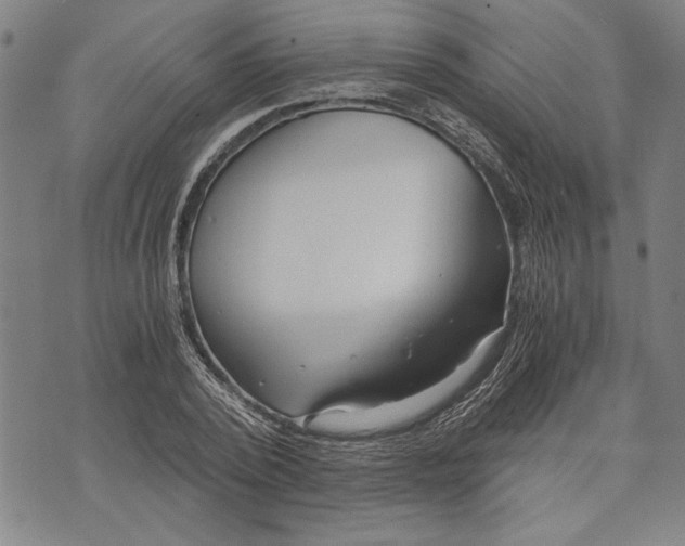 X0000073720784200608241231