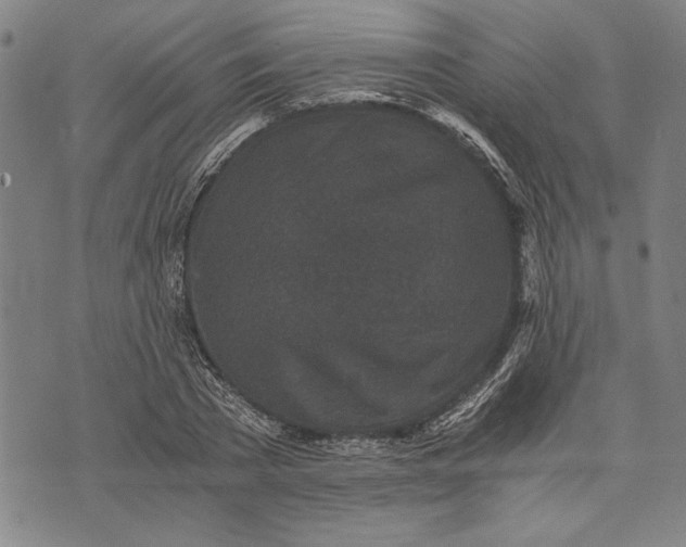 X0000073720785200608241231