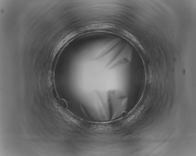 X0000073720786200608241231