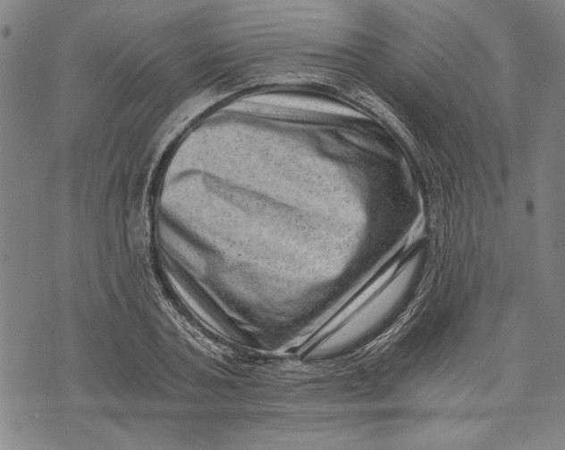 X0000073720787200608241231