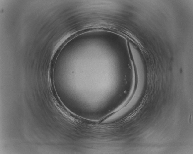 X0000073720788200608241231