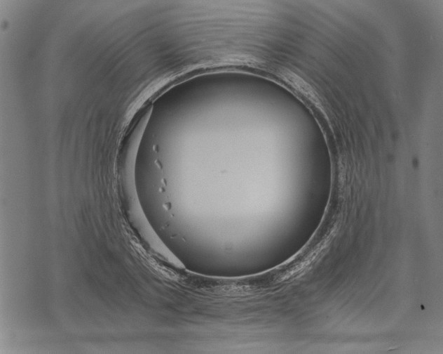 X0000073720789200608241231