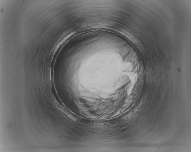 X0000073720790200608241231