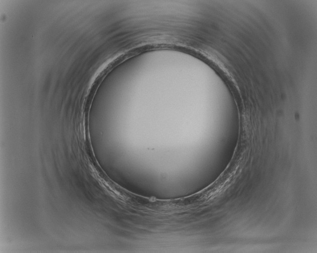 X0000073720791200608241231