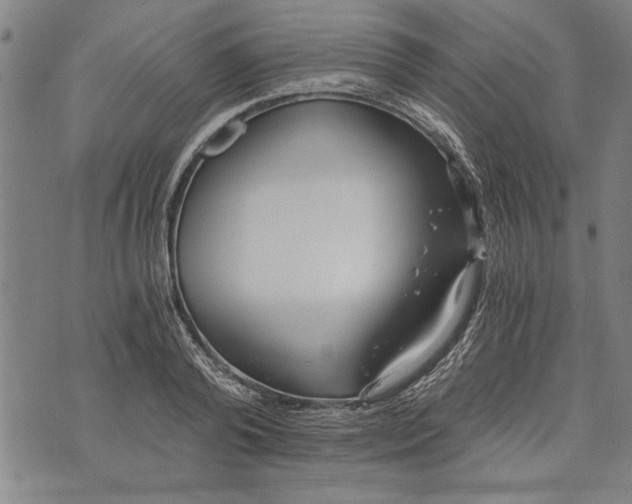 X0000073720792200608241231