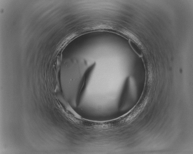 X0000073720793200608241231