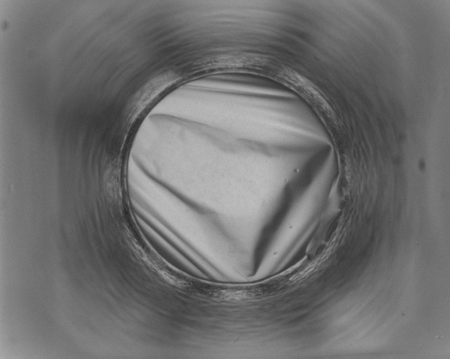 X0000073720794200608241231