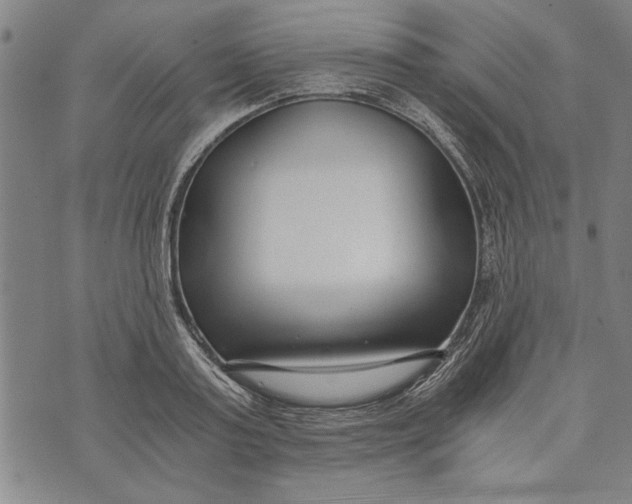 X0000073720795200608241231