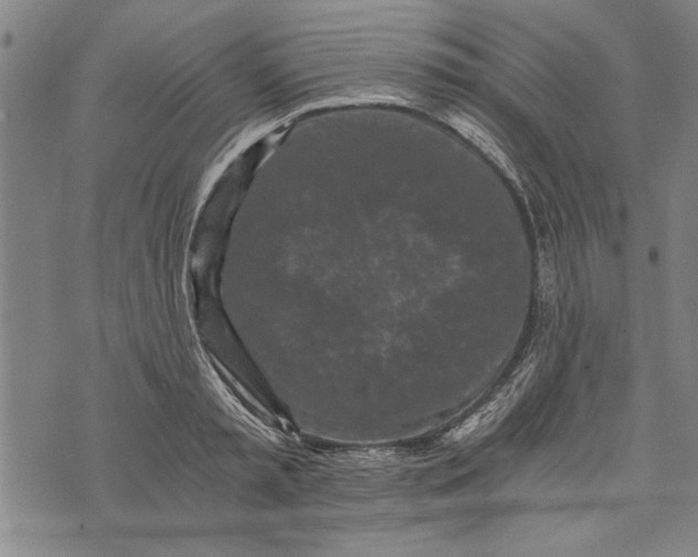 X0000073720797200608241230