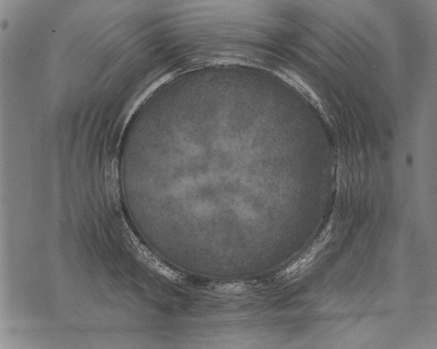 X0000073720798200608241230