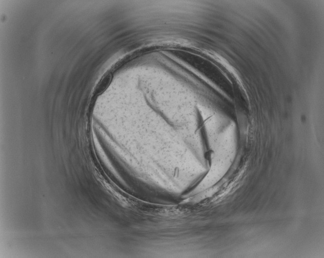 X0000073720799200608241230