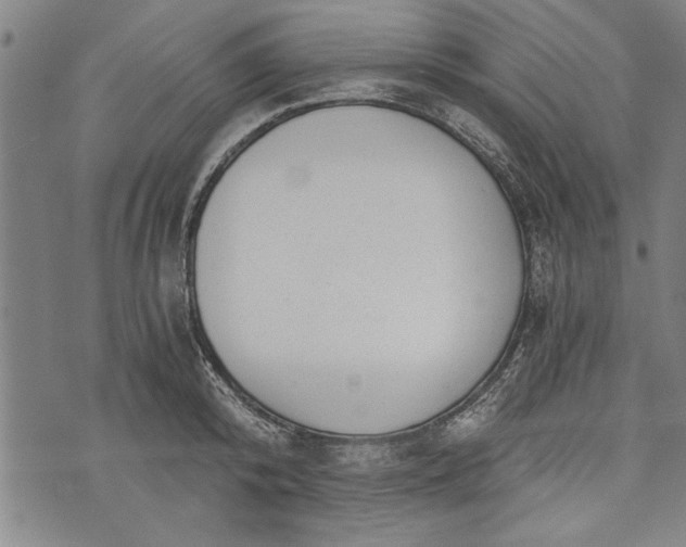 X0000073720800200608241230