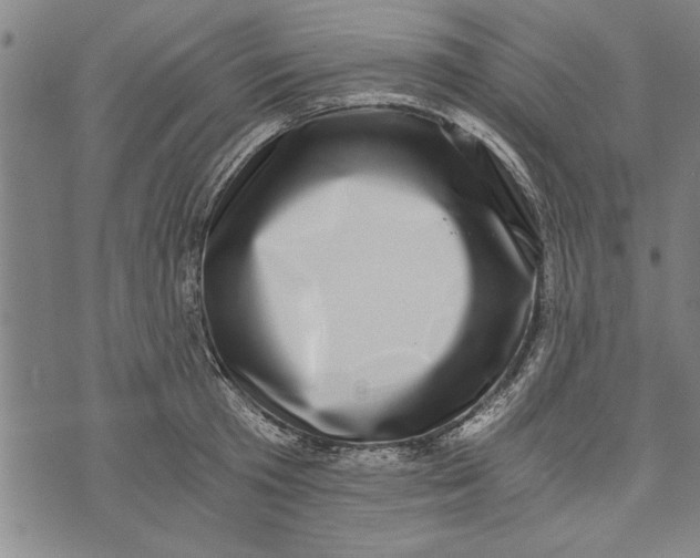 X0000073720801200608241230