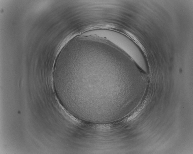 X0000073720802200608241230