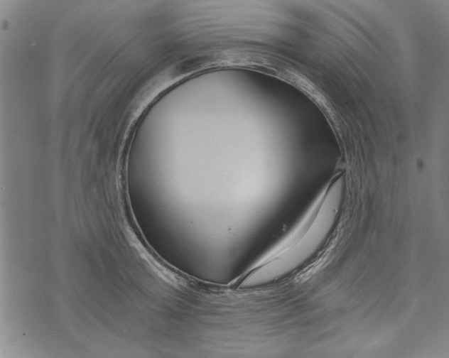 X0000073720803200608241230