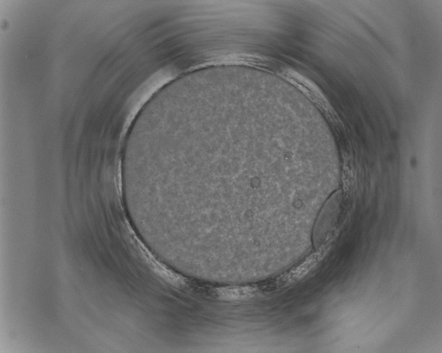 X0000073720804200608241230