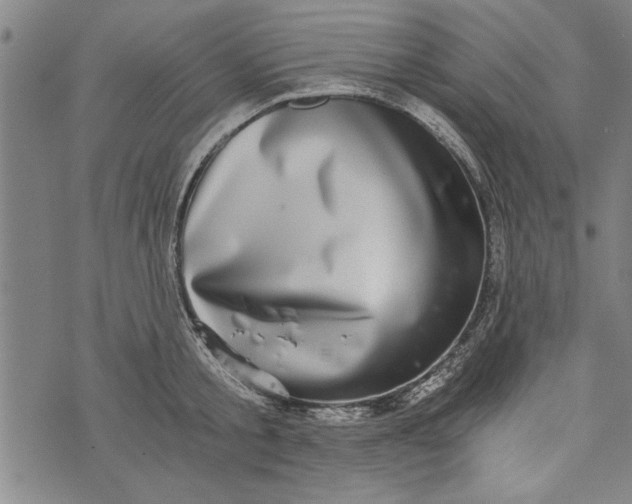 X0000073720805200608241230