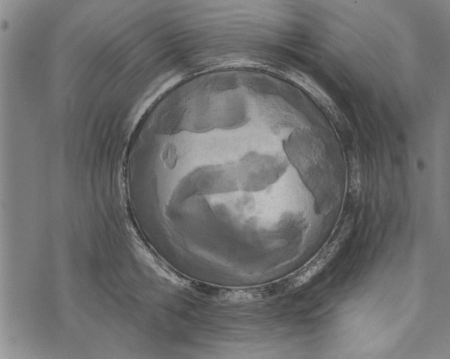 X0000073720806200608241230