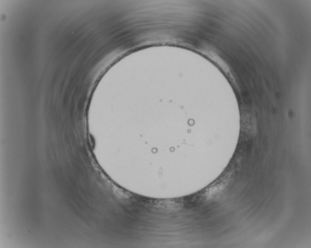 X0000073720807200608241230