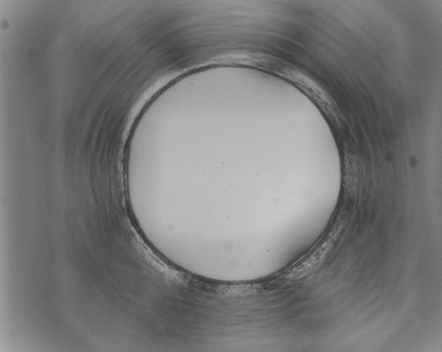 X0000073720808200608241230