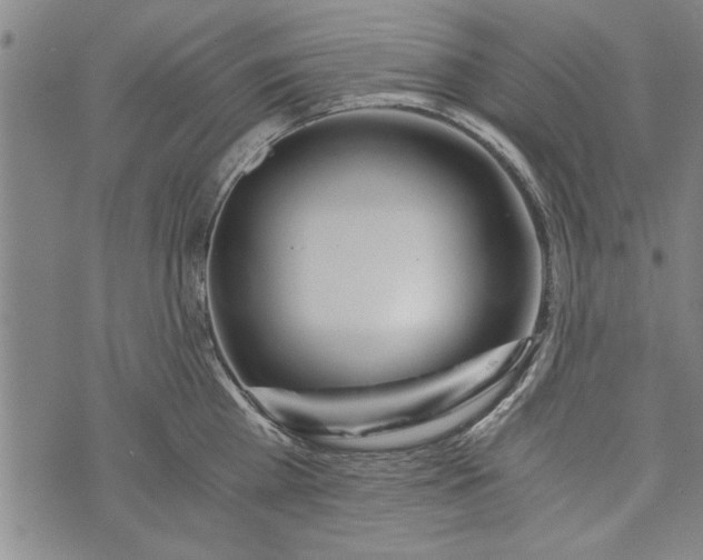 X0000073720809200608241230