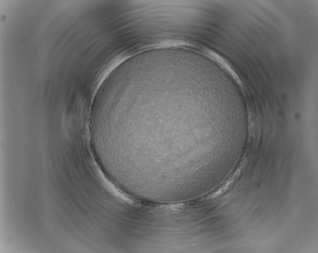 X0000073720810200608241230