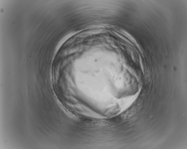 X0000073720811200608241230