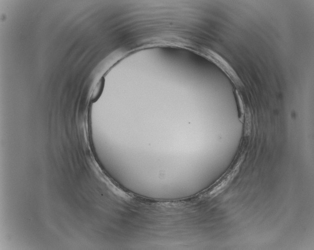 X0000073720812200608241230