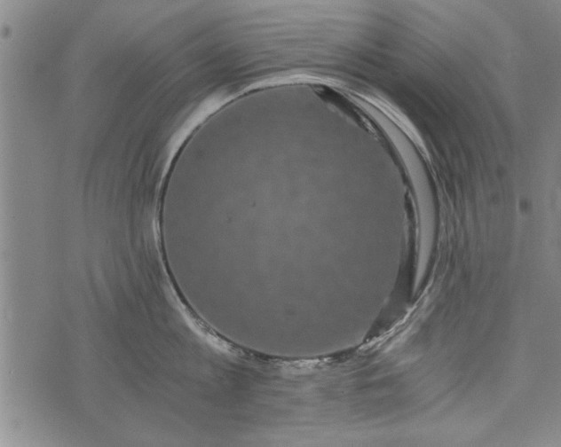 X0000073720813200608241230