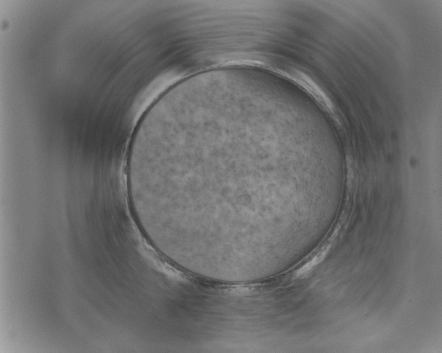 X0000073720814200608241230