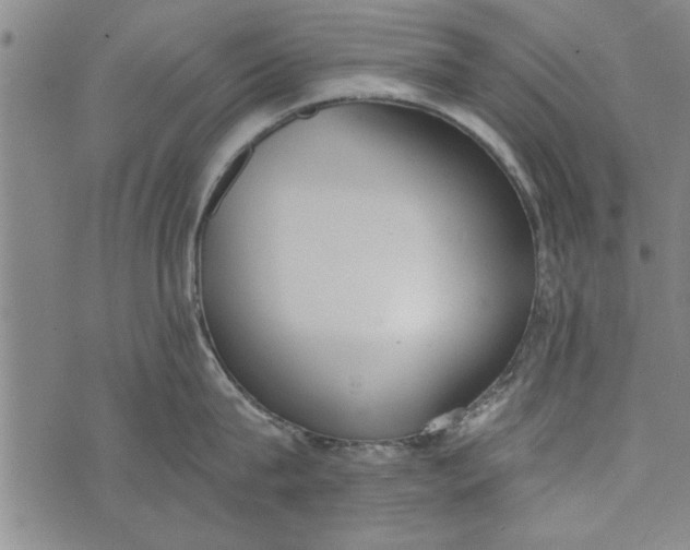 X0000073720815200608241230