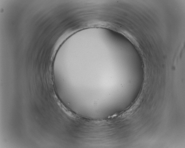 X0000073720816200608241230