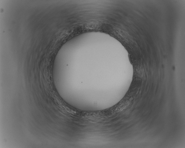 X0000073720817200608241229