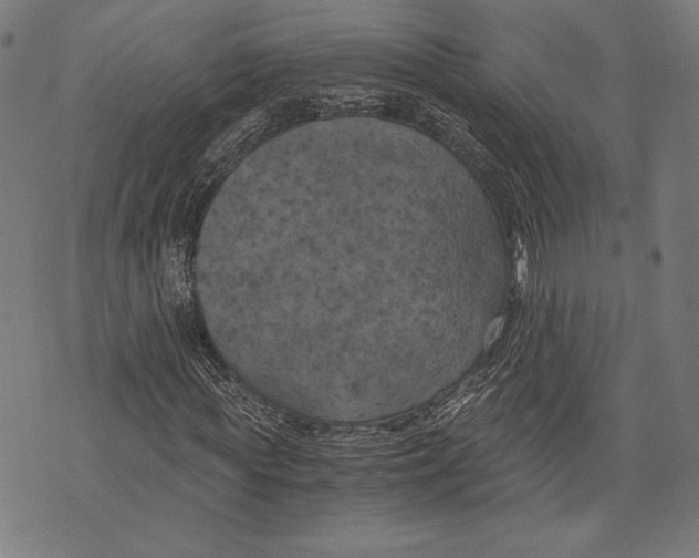 X0000073720819200608241229