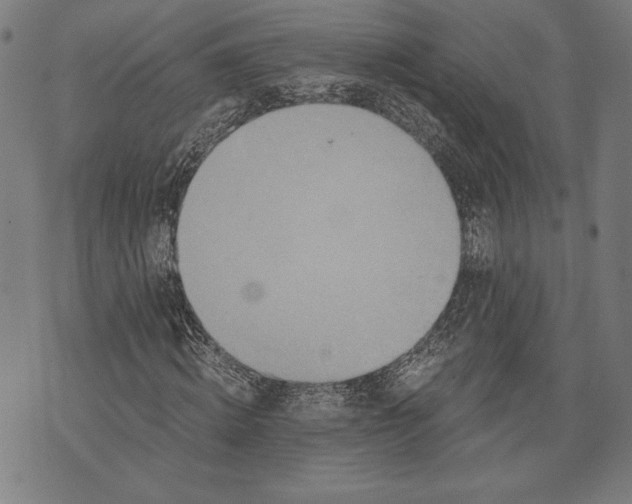 X0000073720820200608241229