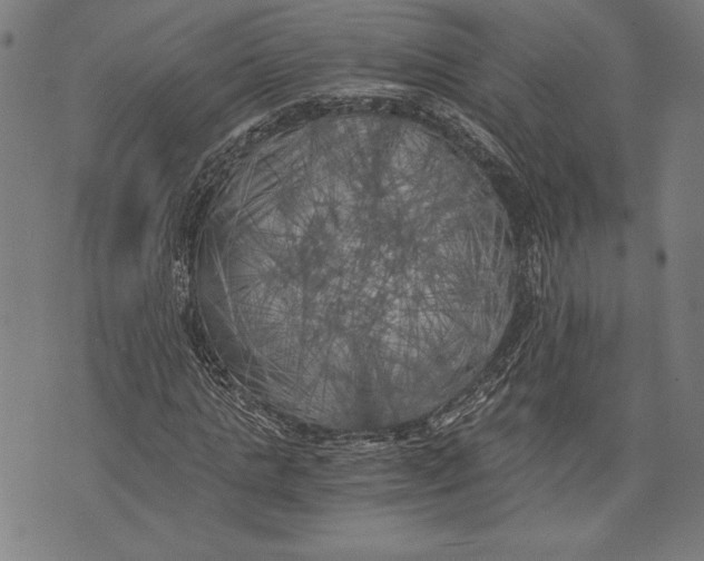 X0000073720821200608241229