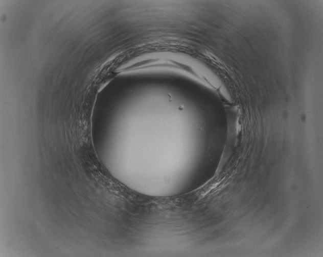 X0000073720822200608241229