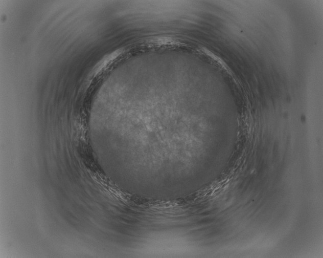 X0000073720823200608241229