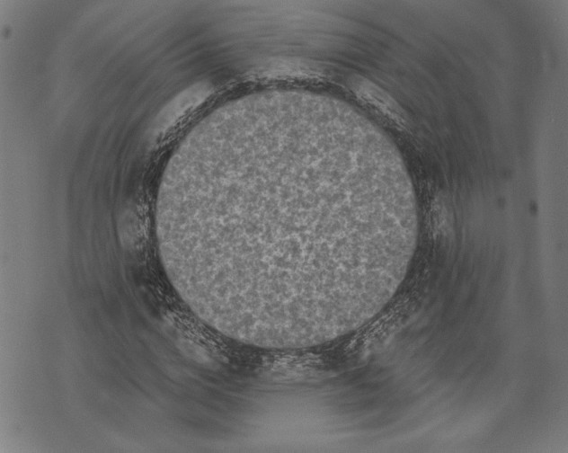 X0000073720824200608241229