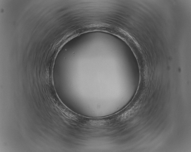 X0000073720825200608241229