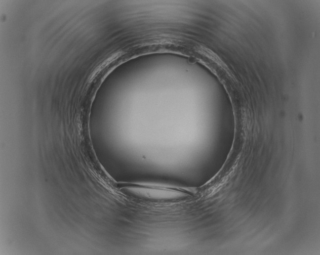 X0000073720826200608241230