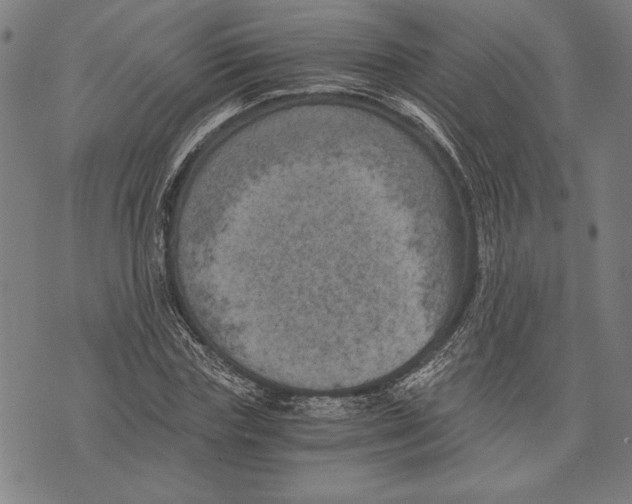 X0000073720827200608241230