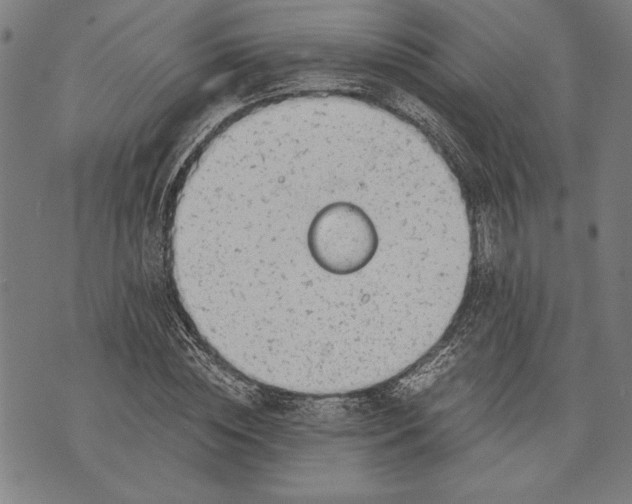 X0000073720828200608241230